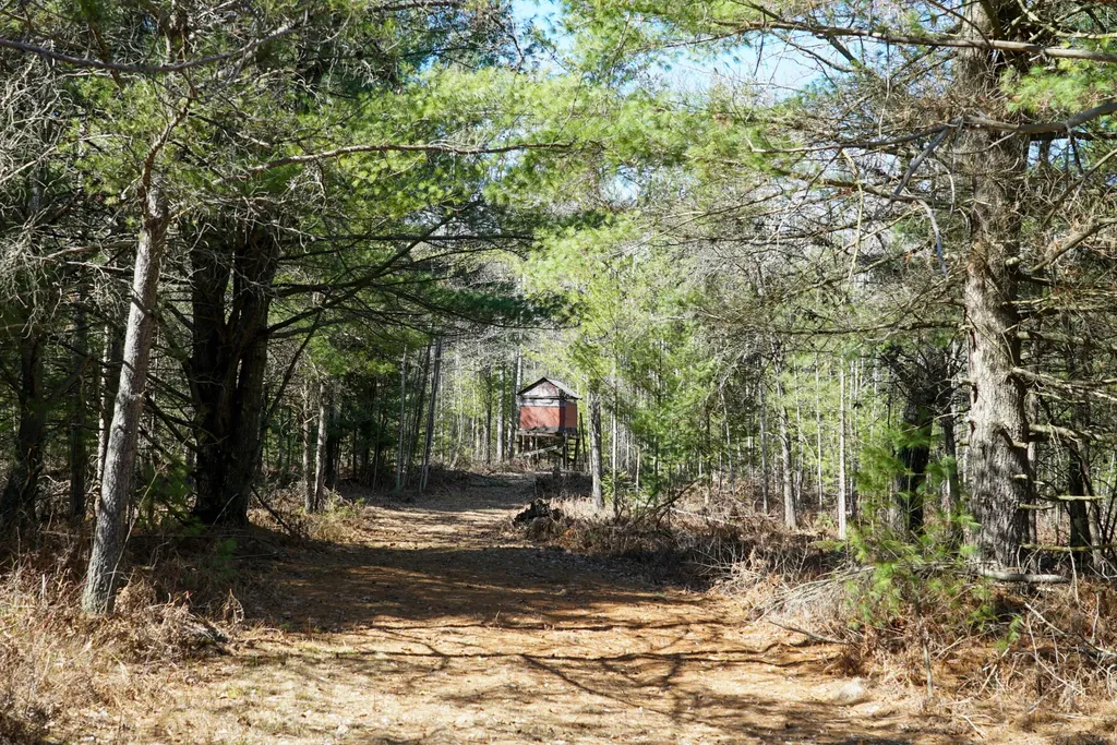 5840 Wildwood Road Secord Township MI 48610