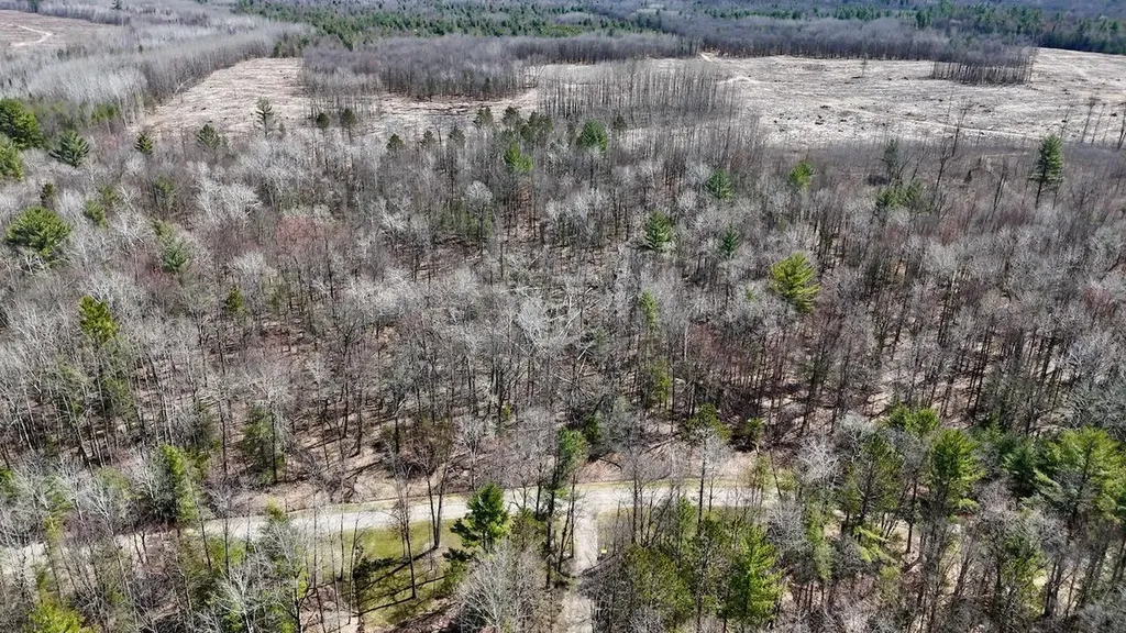 1697 Wildwood Road Clayton Township MI 48659