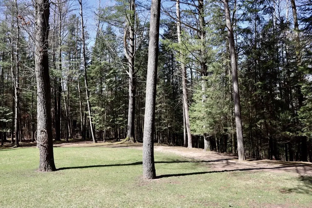 1697 Wildwood Road Clayton Township MI 48659