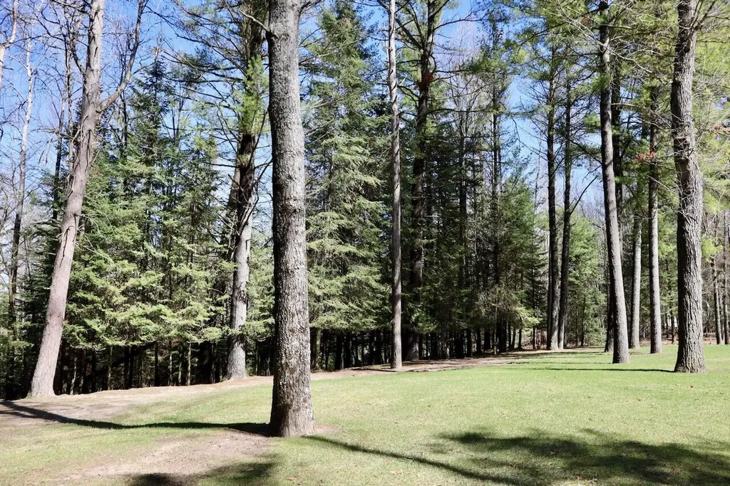 1697 Wildwood Road Clayton Township MI 48659