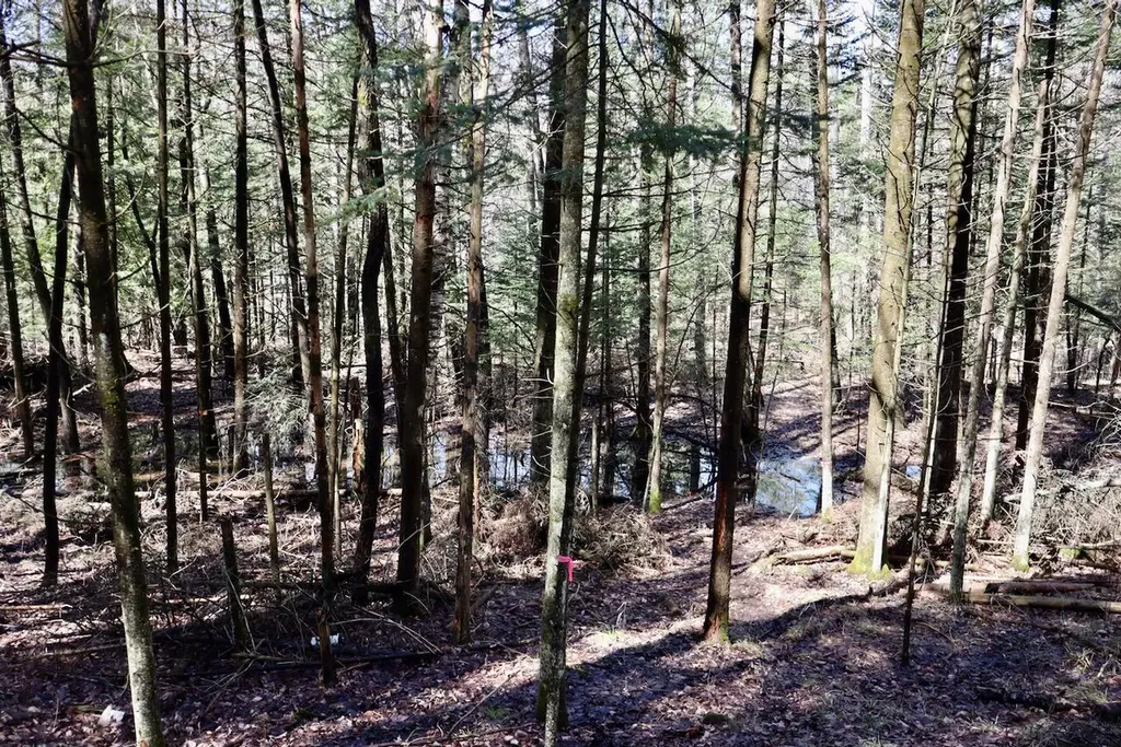 1697 Wildwood Road Clayton Township MI 48659