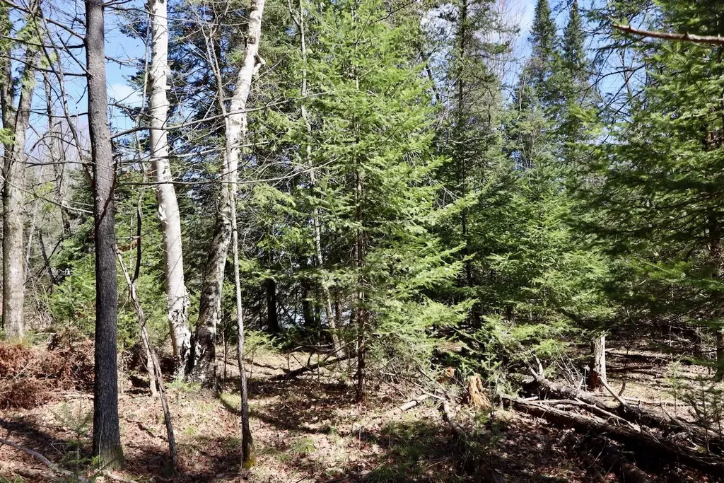 1697 Wildwood Road Clayton Township MI 48659