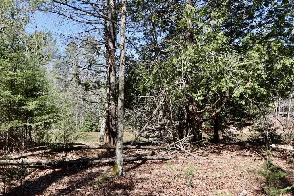 1697 Wildwood Road Clayton Township MI 48659