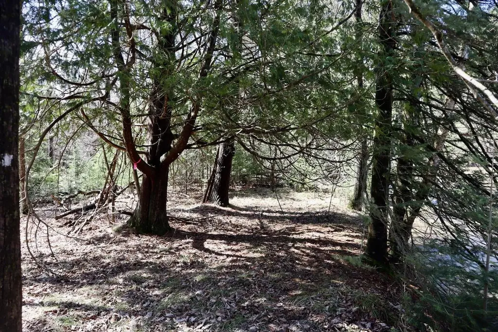 1697 Wildwood Road Clayton Township MI 48659