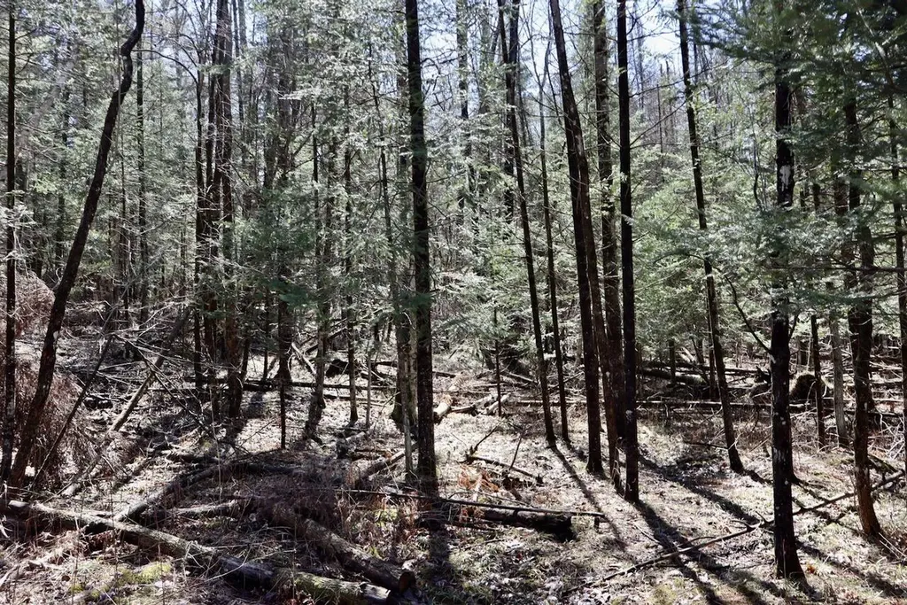 1697 Wildwood Road Clayton Township MI 48659