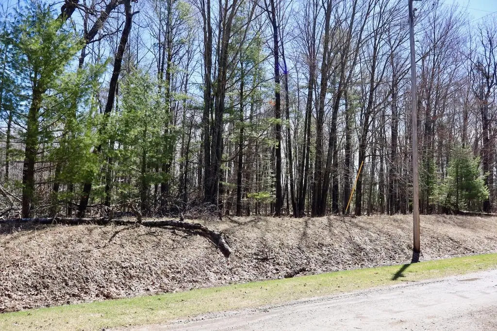 1697 Wildwood Road Clayton Township MI 48659