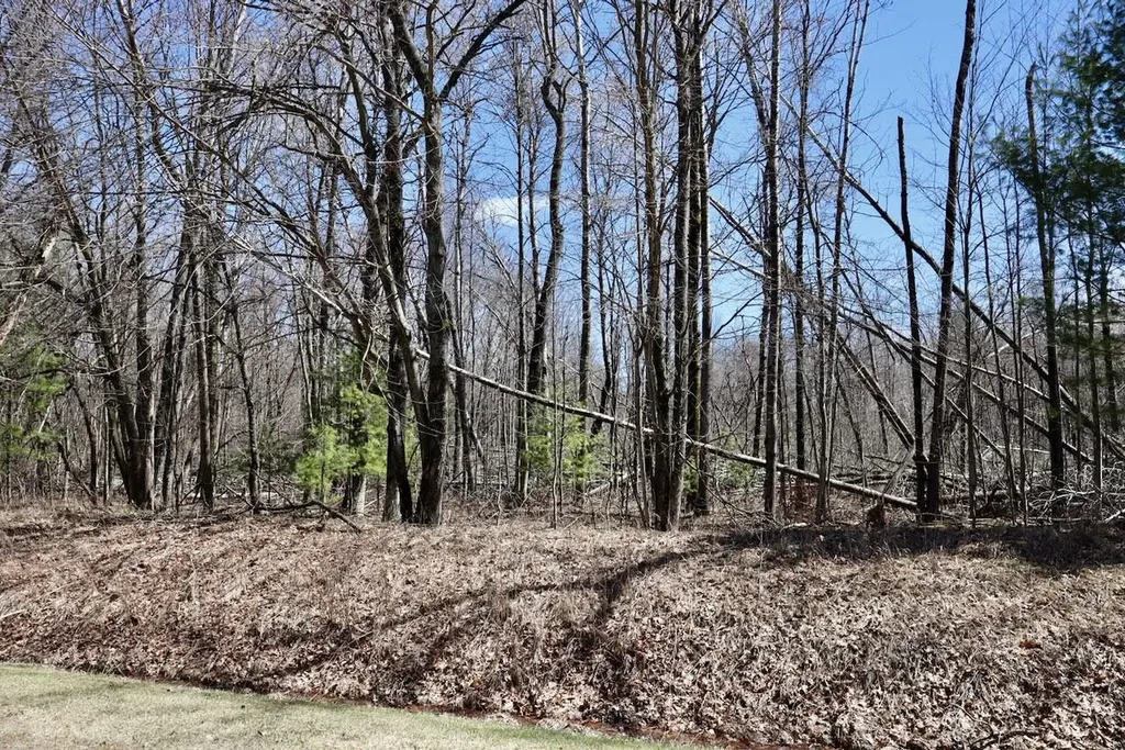 1697 Wildwood Road Clayton Township MI 48659