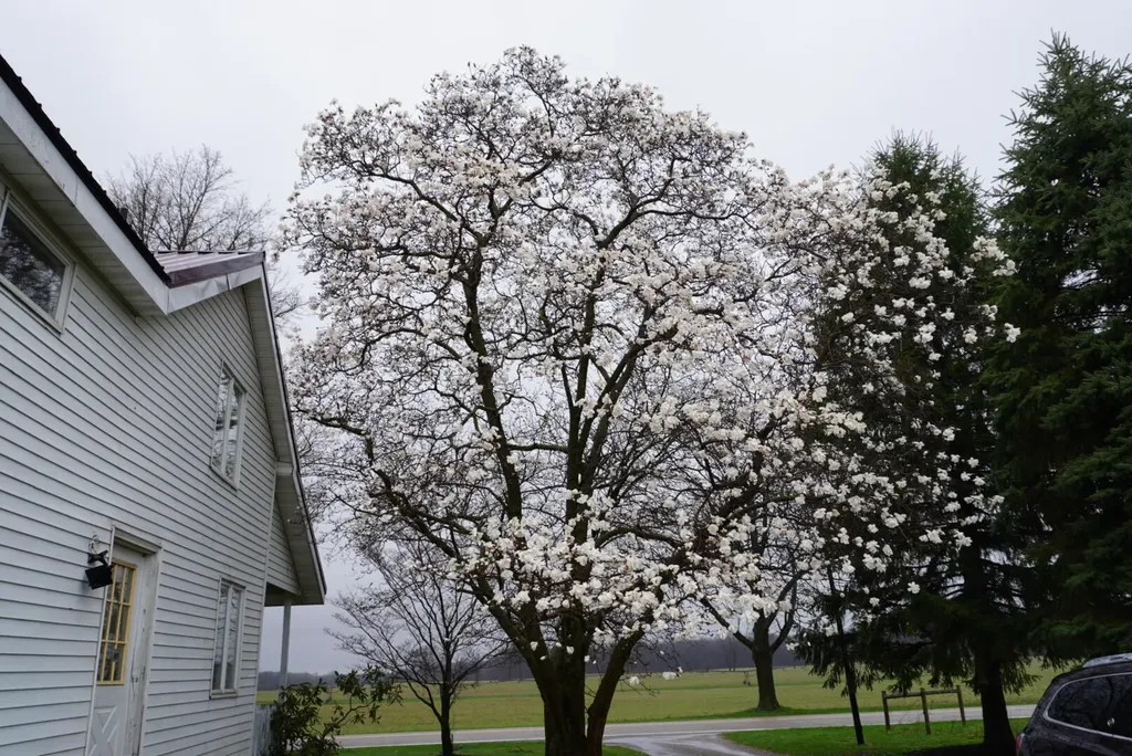 59757 White Temple Road Penn Township MI 49095