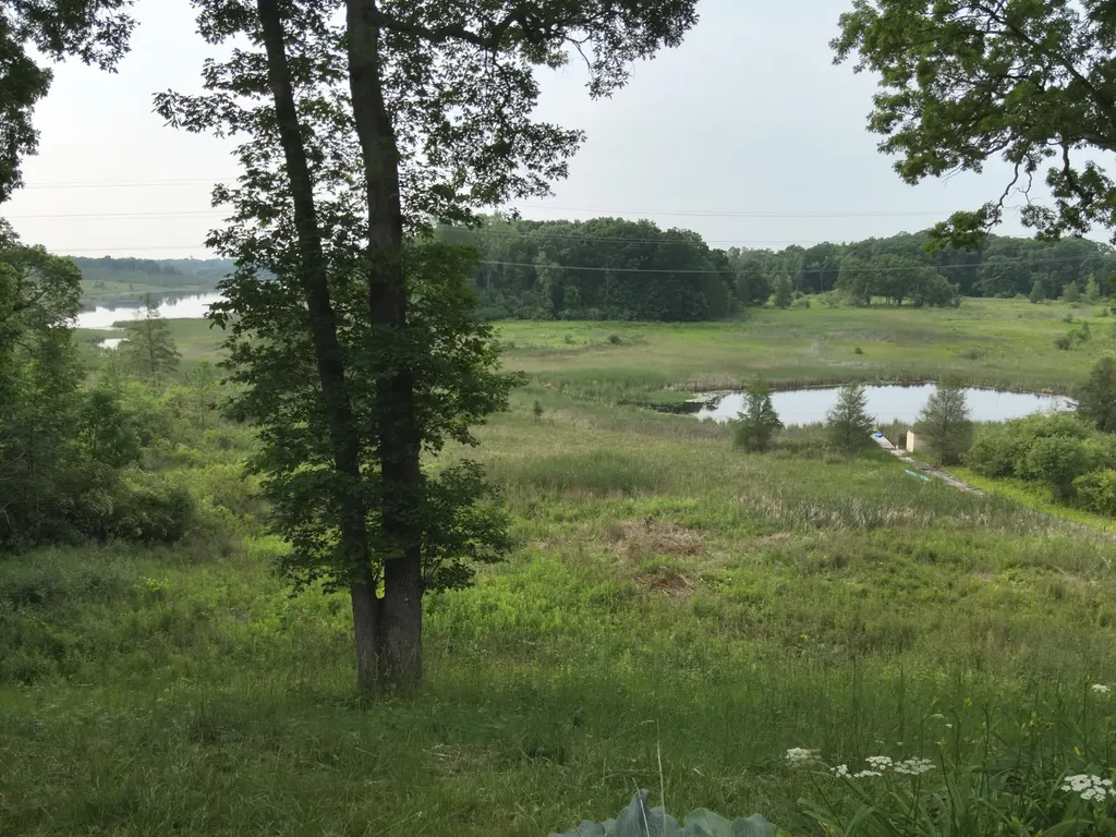 13955 Rattalee Lake Road Springfield Charter Township MI 48350