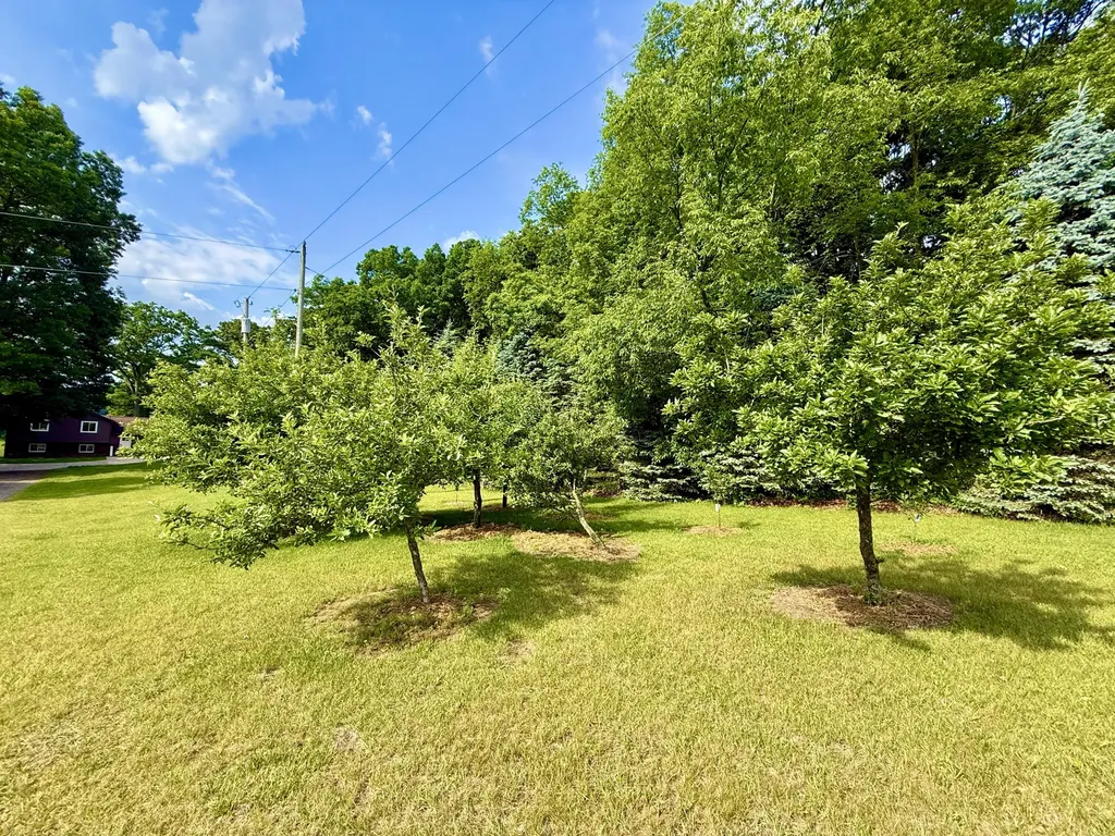 13955 Rattalee Lake Road Springfield Charter Township MI 48350