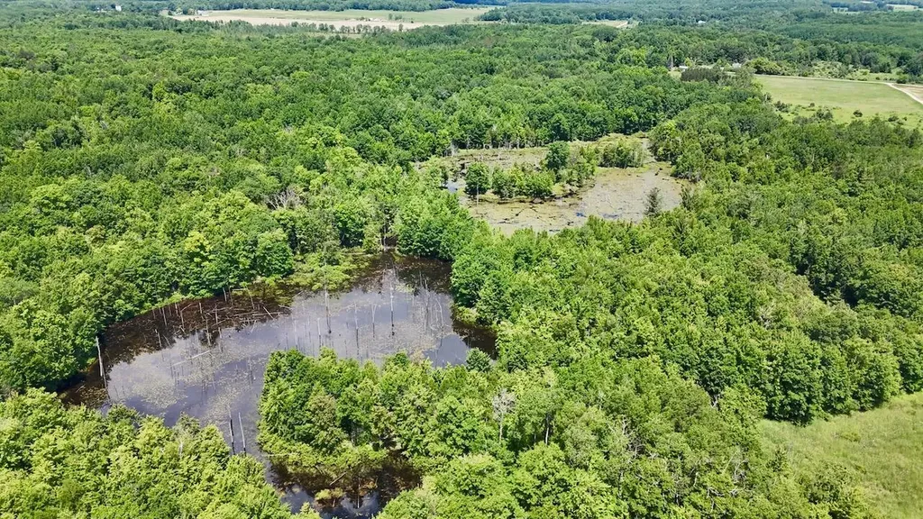 6182 Hamilton Road Hamilton Township MI 48625