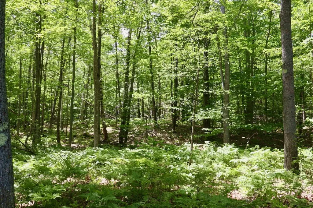 6182 Hamilton Road Hamilton Township MI 48625