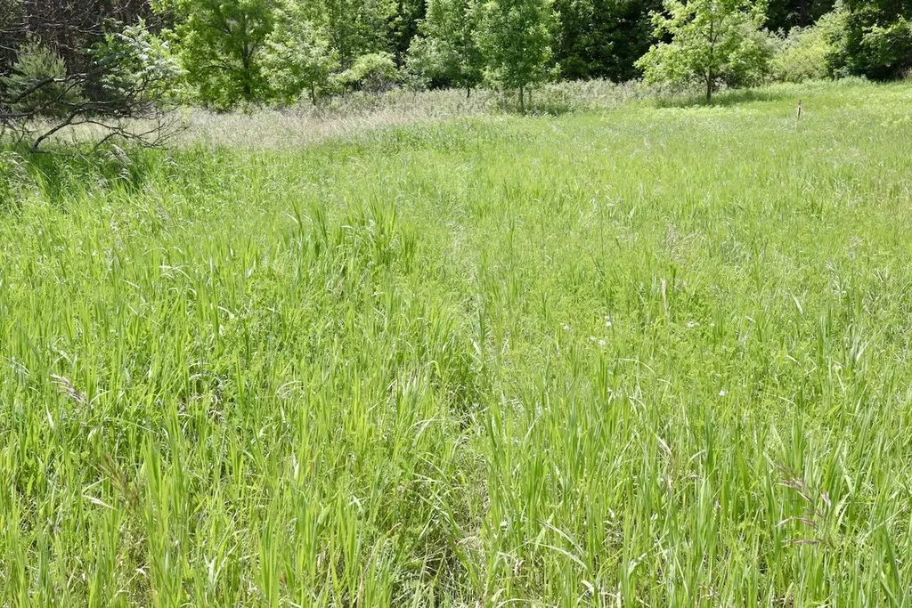 6182 Hamilton Road Hamilton Township MI 48625