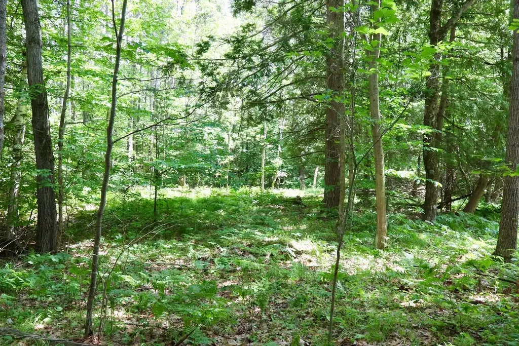 6182 Hamilton Road Hamilton Township MI 48625