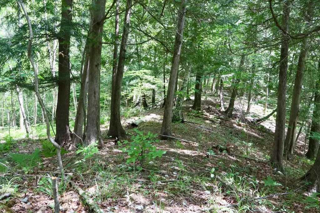 6182 Hamilton Road Hamilton Township MI 48625