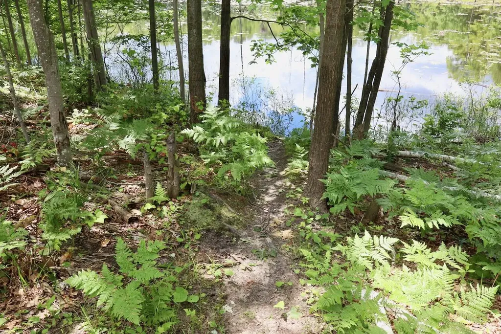 6182 Hamilton Road Hamilton Township MI 48625