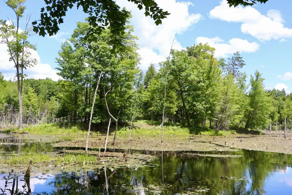 6182 Hamilton Road Hamilton Township MI 48625