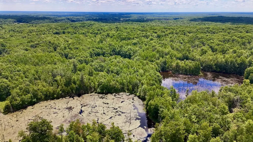 6182 Hamilton Road Hamilton Township MI 48625