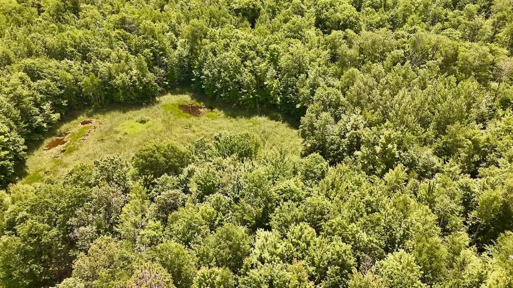 6182 Hamilton Road Hamilton Township MI 48625