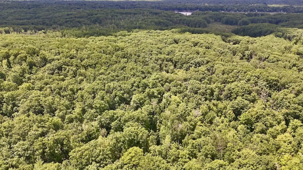 6182 Hamilton Road Hamilton Township MI 48625