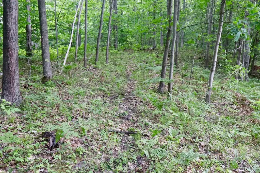 6182 Hamilton Road Hamilton Township MI 48625