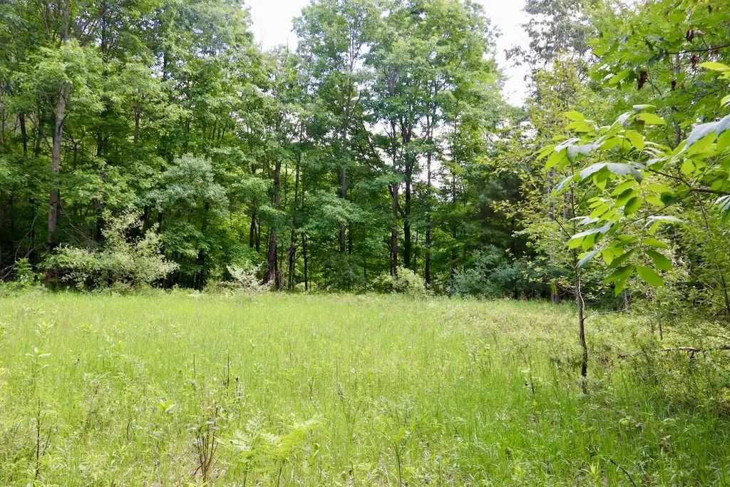6182 Hamilton Road Hamilton Township MI 48625