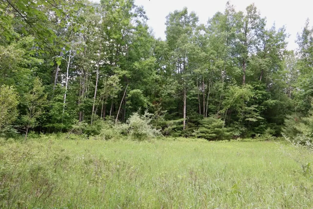 6182 Hamilton Road Hamilton Township MI 48625
