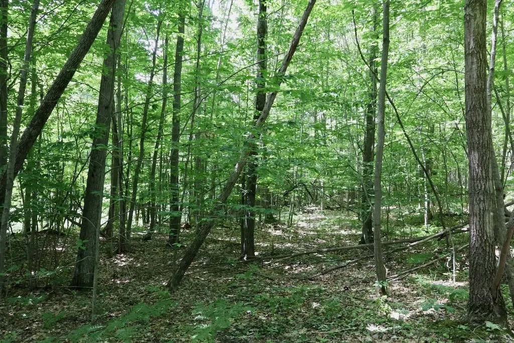 6182 Hamilton Road Hamilton Township MI 48625
