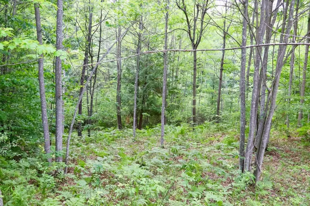 6182 Hamilton Road Hamilton Township MI 48625