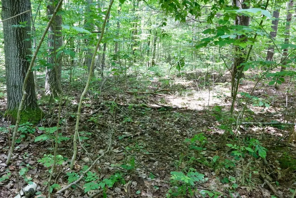 6182 Hamilton Road Hamilton Township MI 48625