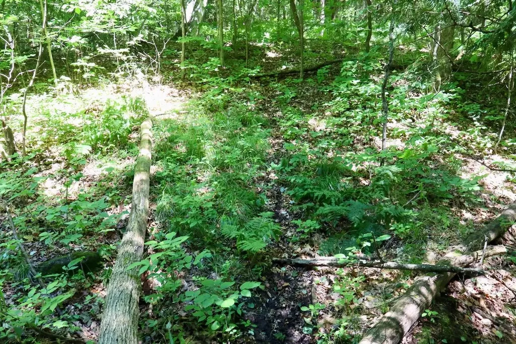6182 Hamilton Road Hamilton Township MI 48625