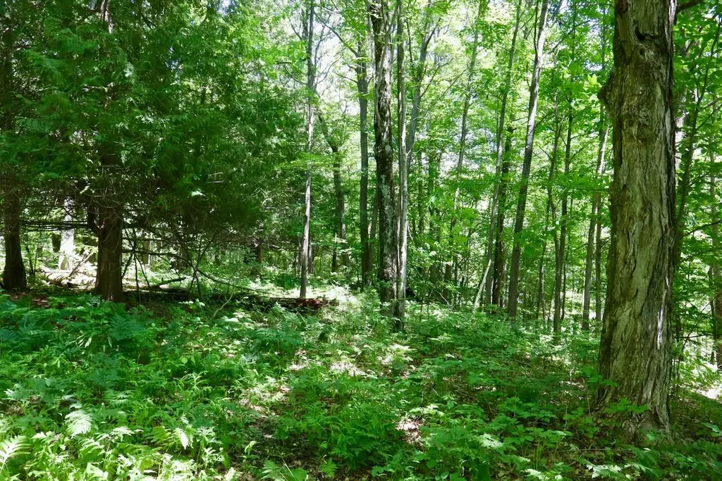 6182 Hamilton Road Hamilton Township MI 48625
