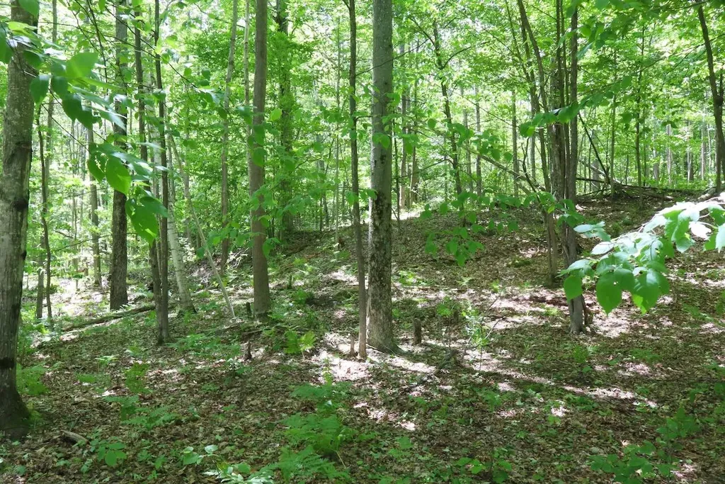 6182 Hamilton Road Hamilton Township MI 48625
