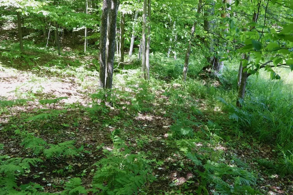 6182 Hamilton Road Hamilton Township MI 48625