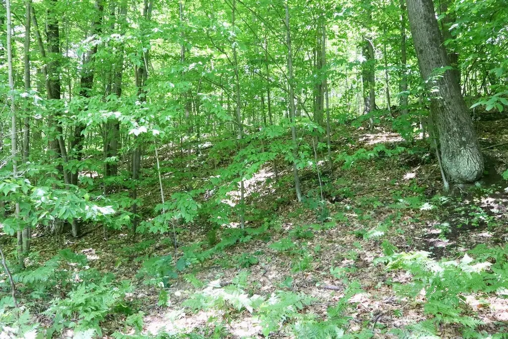 6182 Hamilton Road Hamilton Township MI 48625