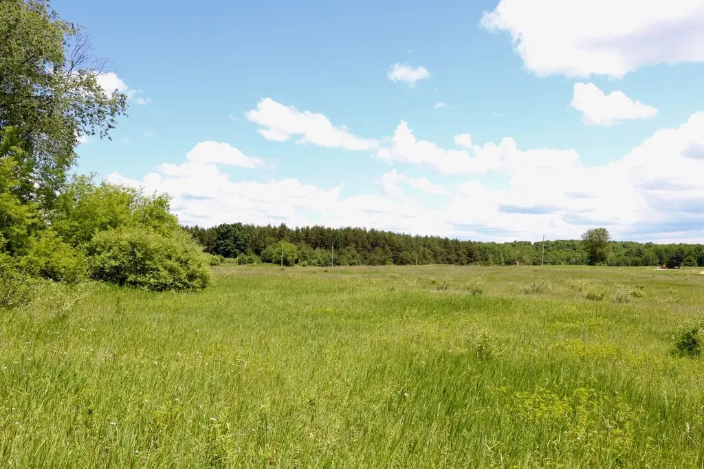 6182 Hamilton Road Hamilton Township MI 48625