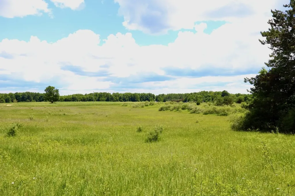 6182 Hamilton Road Hamilton Township MI 48625