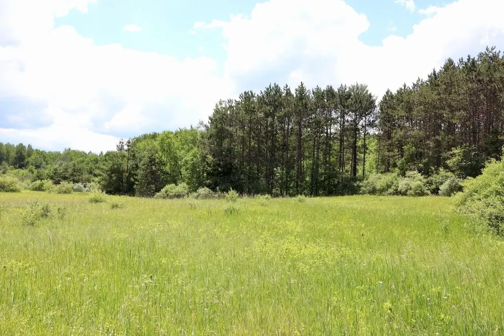 6182 Hamilton Road Hamilton Township MI 48625