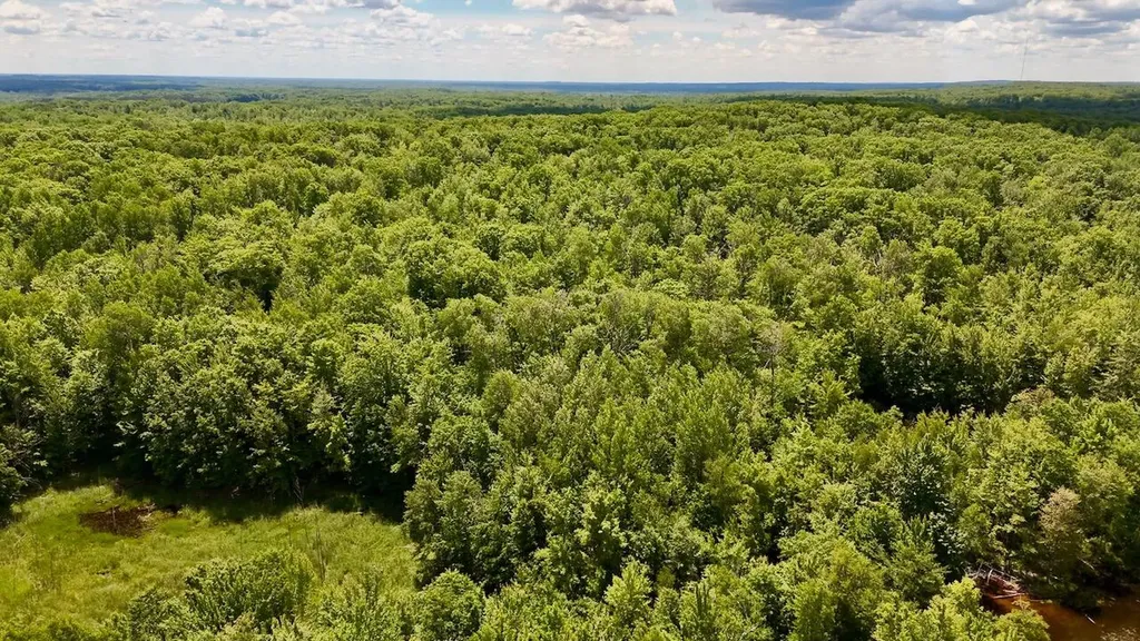 6182 Hamilton Road Hamilton Township MI 48625