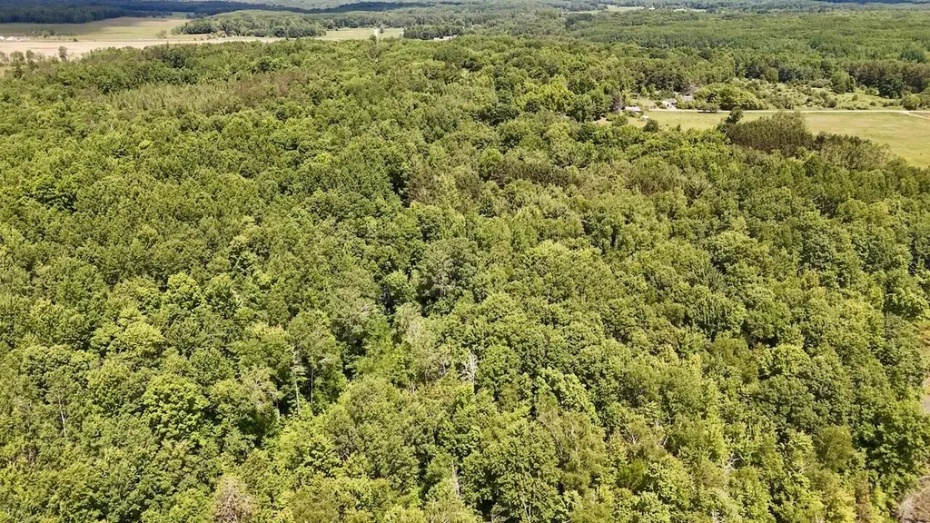 6182 Hamilton Road Hamilton Township MI 48625