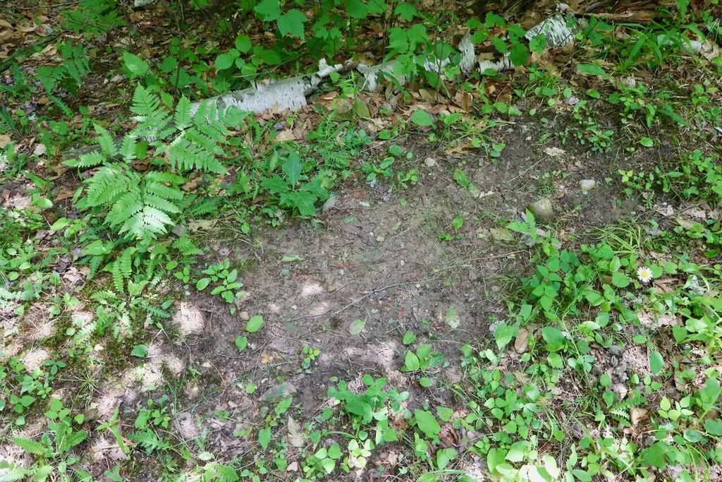 6182 Hamilton Road Hamilton Township MI 48625