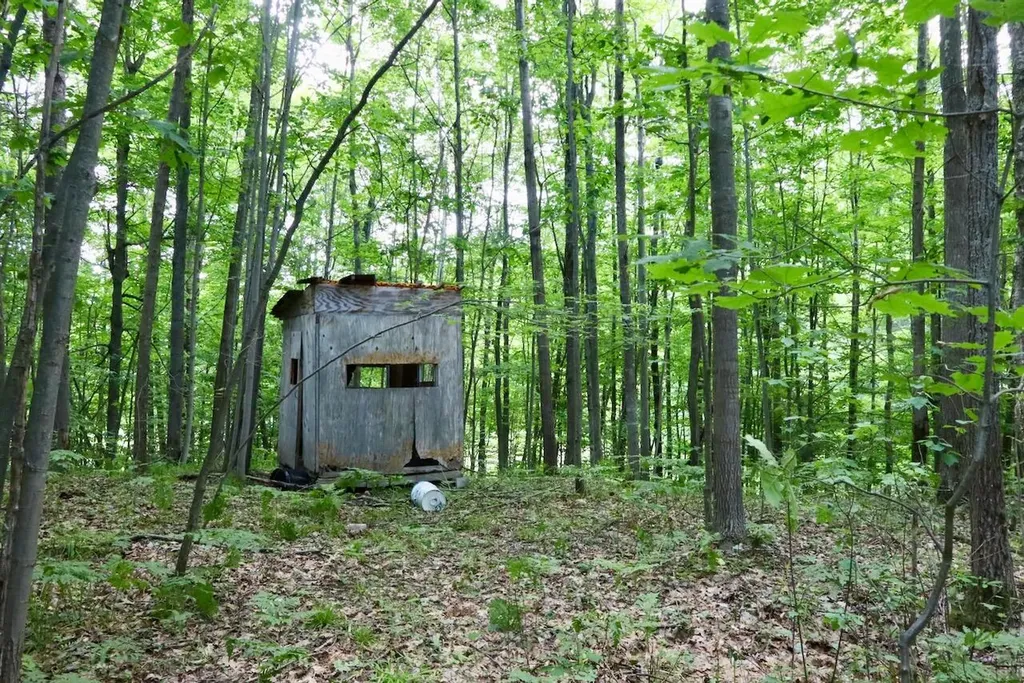 6182 Hamilton Road Hamilton Township MI 48625