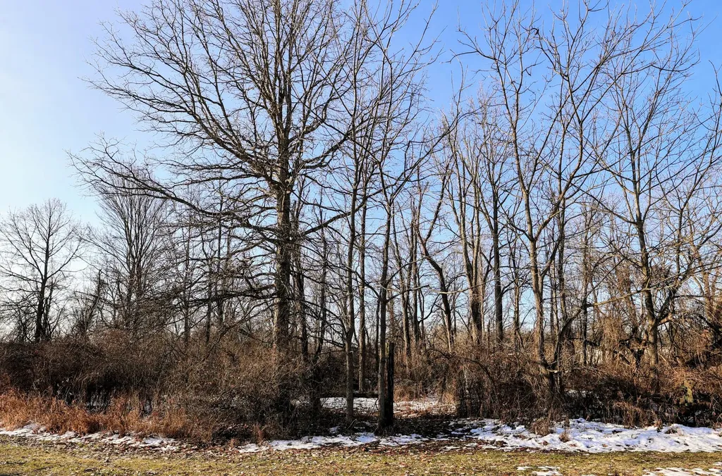 1767 Flanders Road Eaton Township MI 48813
