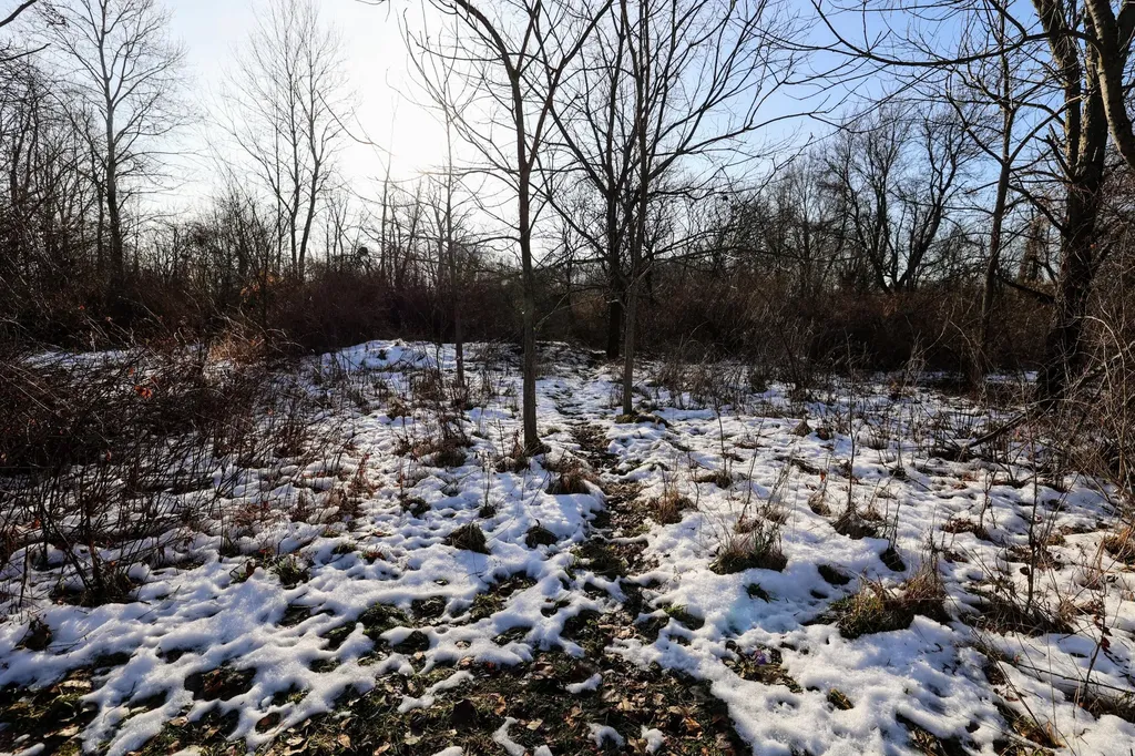 1767 Flanders Road Eaton Township MI 48813