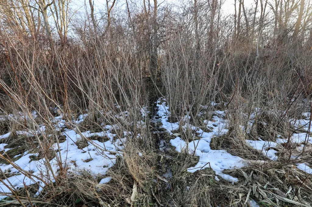 1767 Flanders Road Eaton Township MI 48813