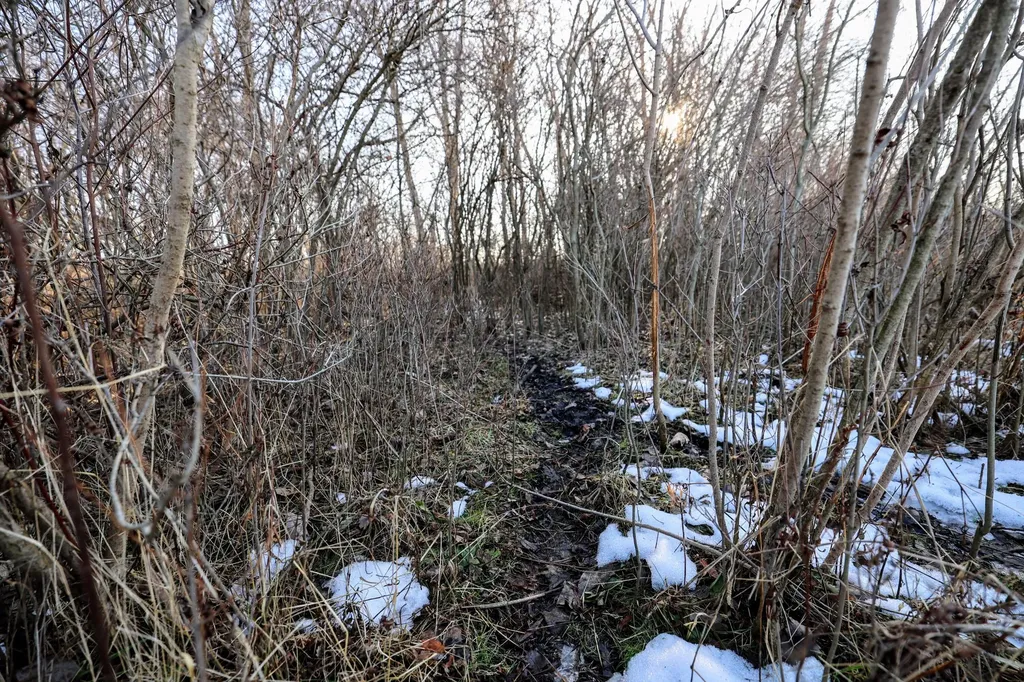 1767 Flanders Road Eaton Township MI 48813