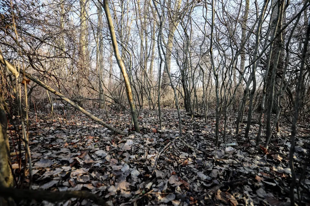 1767 Flanders Road Eaton Township MI 48813
