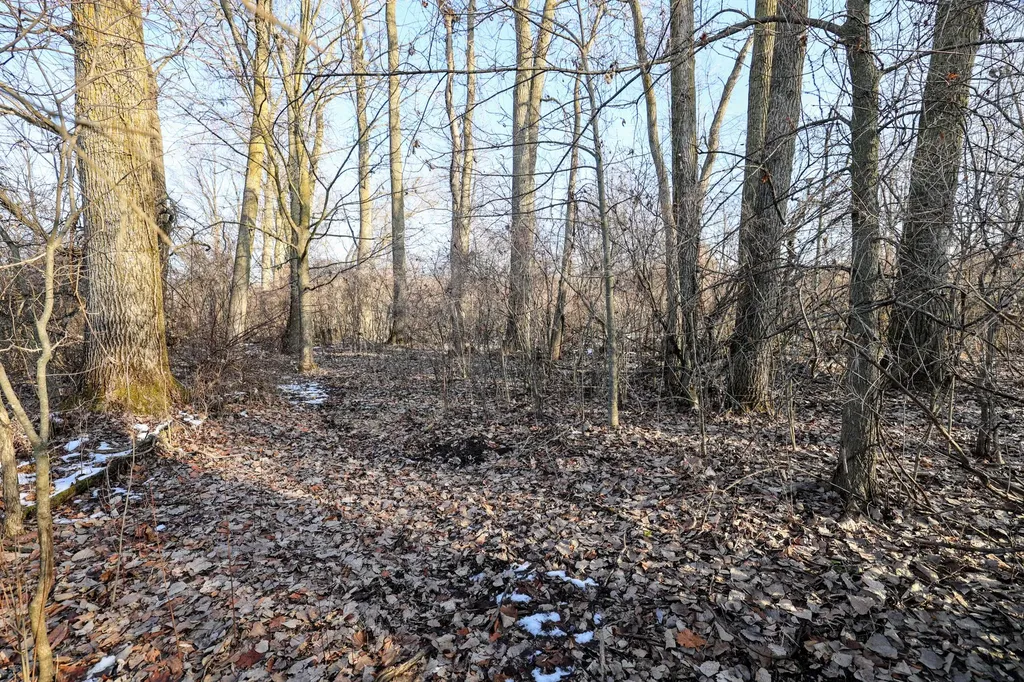1767 Flanders Road Eaton Township MI 48813