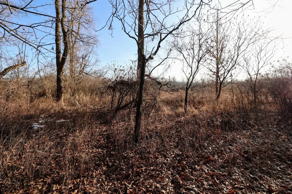 1767 Flanders Road Eaton Township MI 48813