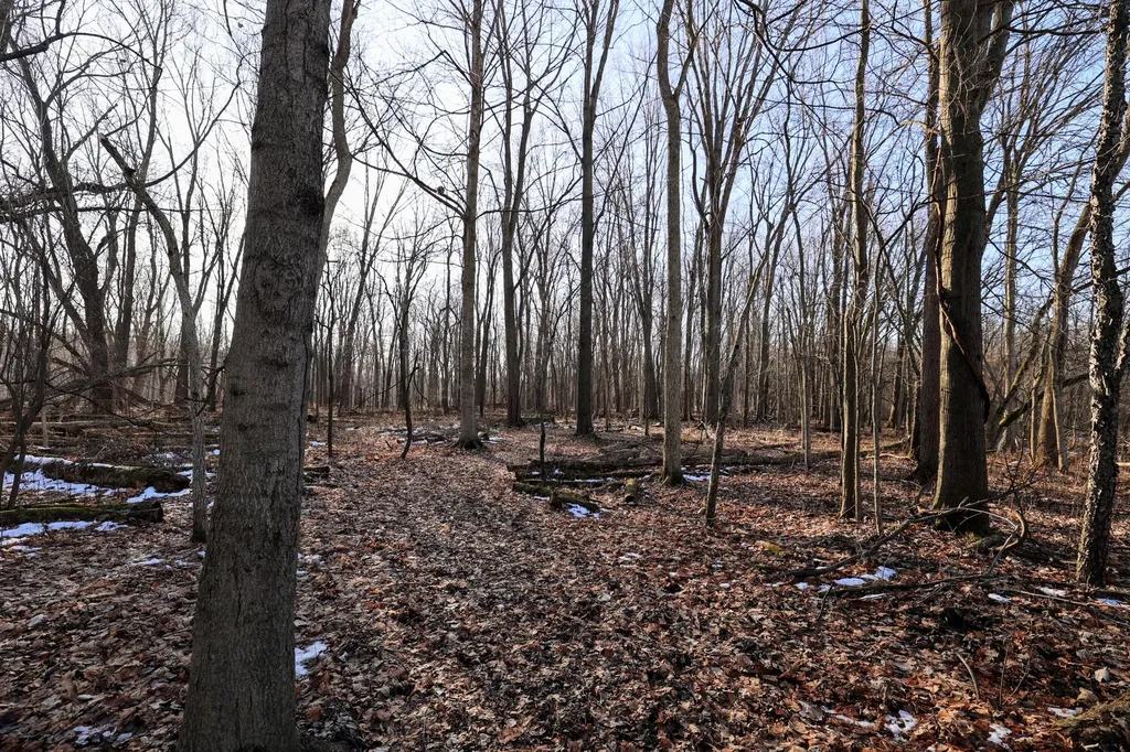 1767 Flanders Road Eaton Township MI 48813